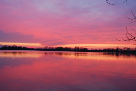 Lake Bruce Serenity