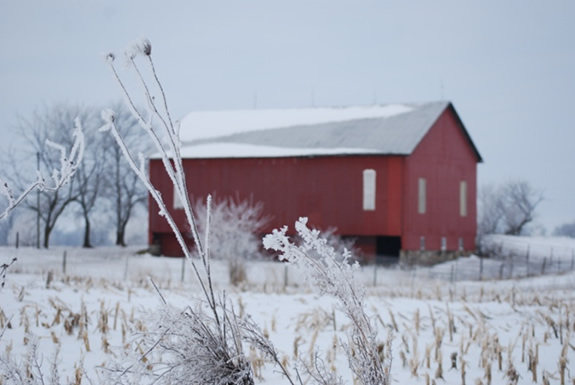 Seasons at Mahseh