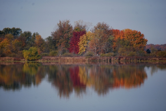 Lake Bruce Fall Foliage