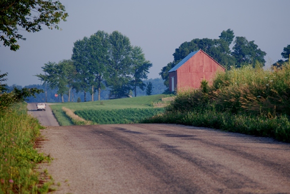 2011-07-08_Roadside_wildflowers_030_-_Copy.JPG