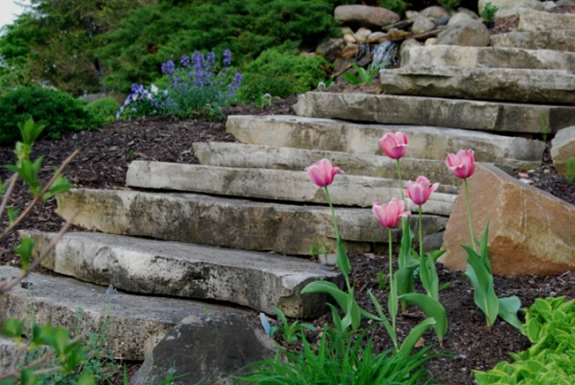 Garden Steps