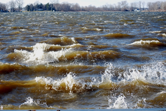 Lake Bruce Whitecaps