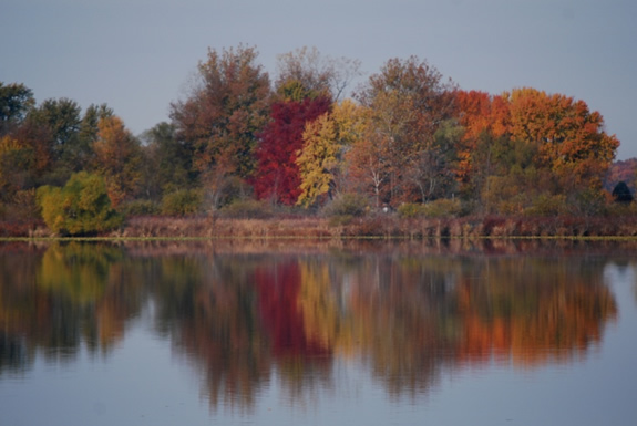 Seasons at Mahseh